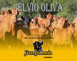 Elvio Oliva